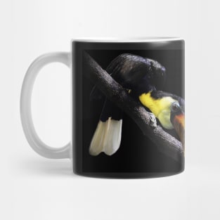 Wrinkled hornbill Mug